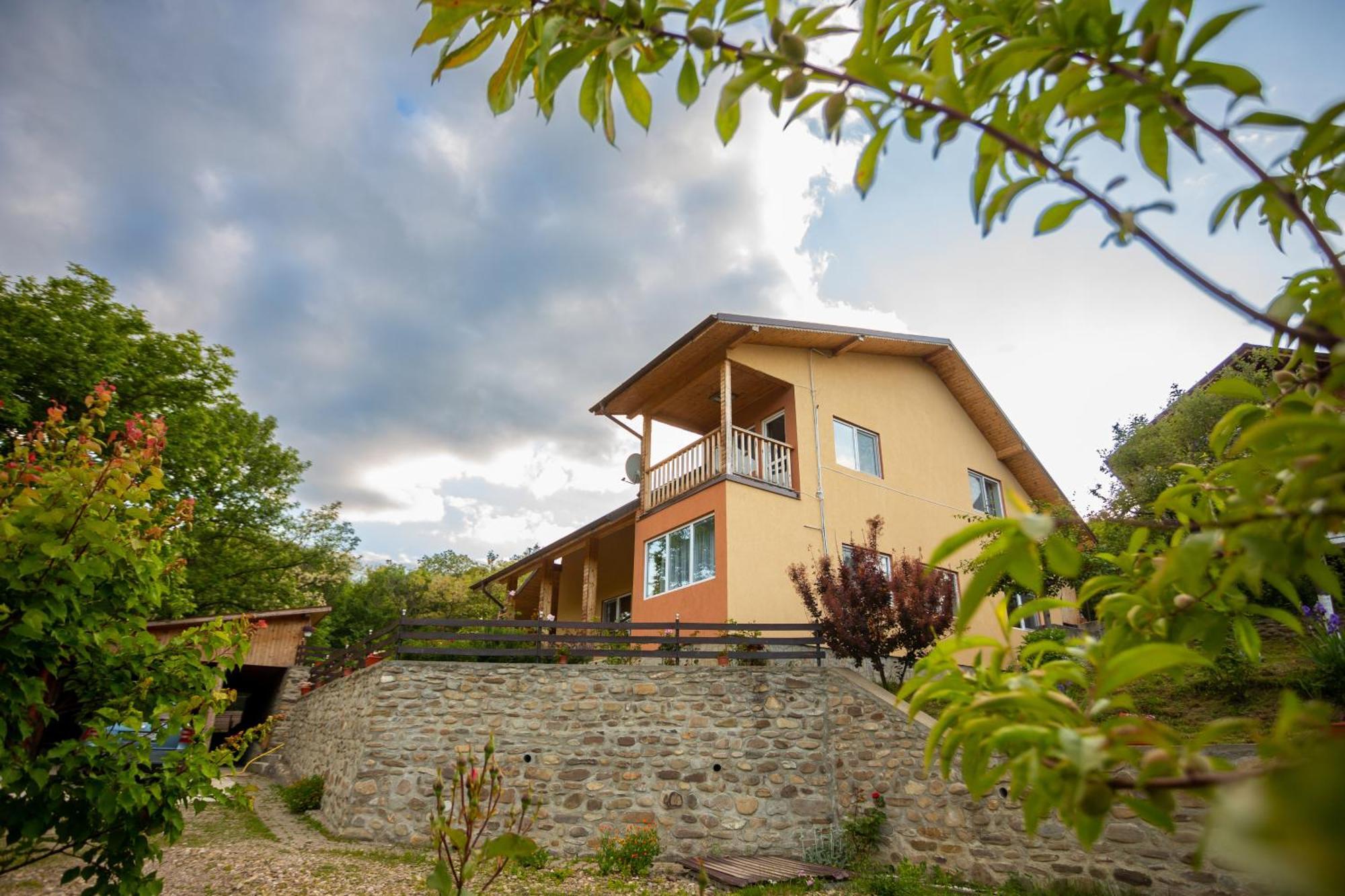 Casa Rumelia Paltineni Bagian luar foto