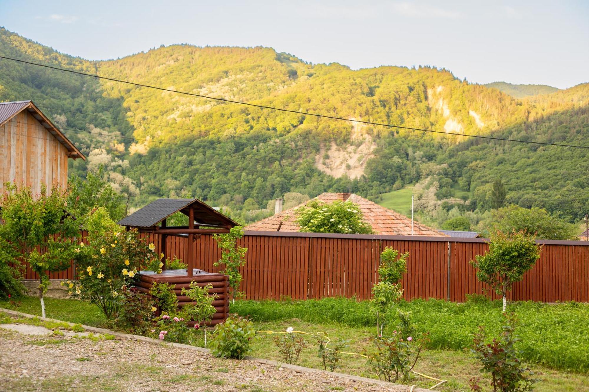 Casa Rumelia Paltineni Bagian luar foto